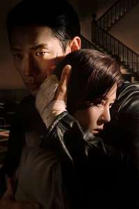Red Swan - Posters