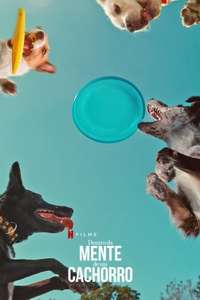 Inside the Mind of a Dog - Posters