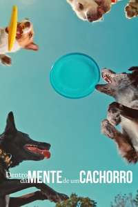 Inside the Mind of a Dog - Posters