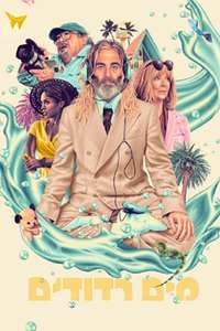 Poolman - Posters
