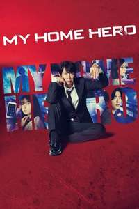 My Home Hero - Posters