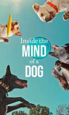 Inside the Mind of a Dog