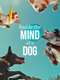 Inside the Mind of a Dog