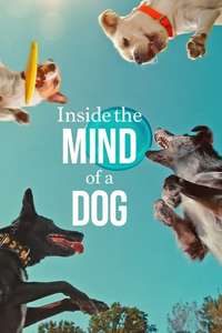 Inside the Mind of a Dog - Posters