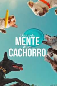 Inside the Mind of a Dog - Posters