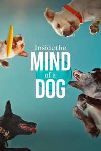 Inside the Mind of a Dog - Posters