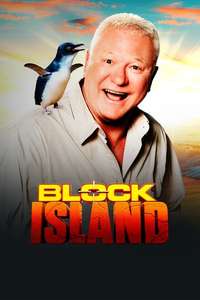 The Block - Posters