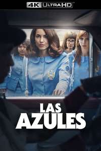 Women in Blue - Posters