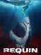 The Requin
