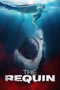 The Requin - Posters