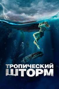 The Requin - Posters