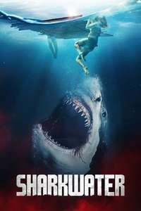 The Requin - Posters