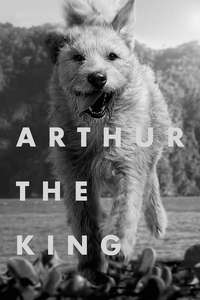 Arthur the King - Posters