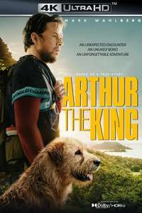Arthur the King - Posters
