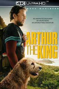 Arthur the King - Posters