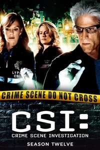 CSI: Crime Scene Investigation - Posters