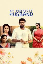 My Perfect Husband Season 1