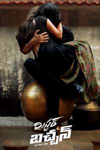 Mr. Bachchan - Posters