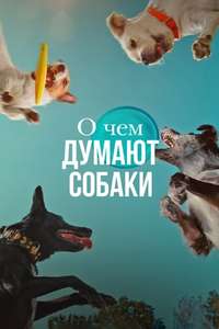 Inside the Mind of a Dog - Posters