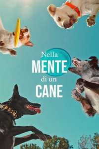 Inside the Mind of a Dog - Posters