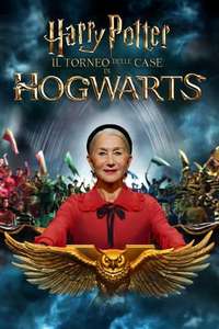 Harry Potter: Hogwarts Tournament of Houses - Posters