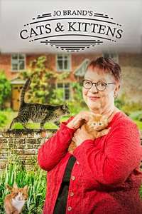 Jo Brand's Cats & Kittens - Posters