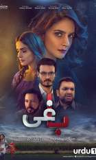 Baaghi