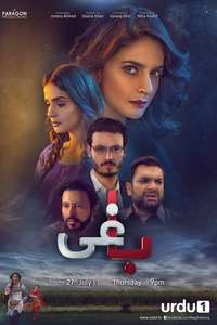 Baaghi - Posters