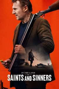 In the Land of Saints and Sinners - Posters