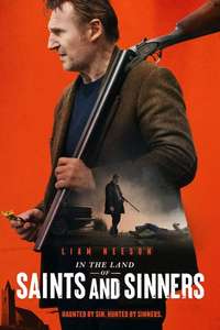 In the Land of Saints and Sinners - Posters