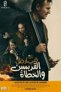 In the Land of Saints and Sinners - Posters