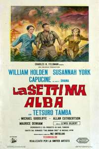 The 7th Dawn - Posters
