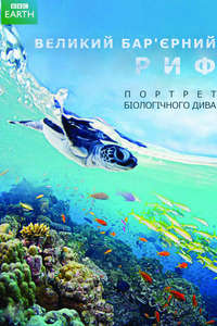 Great Barrier Reef - Posters