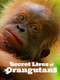 Secret Lives of Orangutans