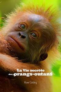 Secret Lives of Orangutans - Posters