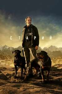 The Old Man - Posters