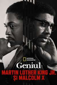 Genius - Posters