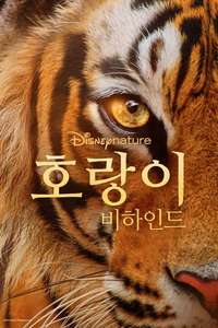 Tigers on the Rise - Posters