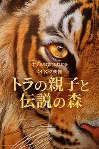 Tigers on the Rise - Posters