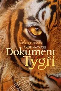 Tigers on the Rise - Posters
