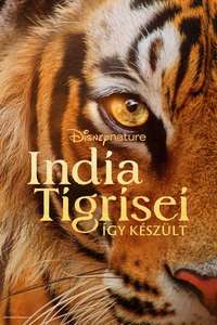 Tigers on the Rise - Posters