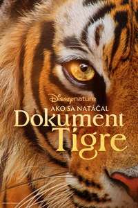 Tigers on the Rise - Posters