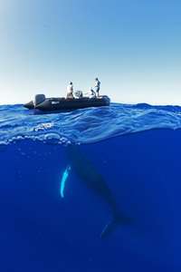 OceanXplorers - Posters