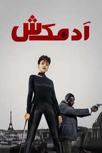 The Killer - Posters