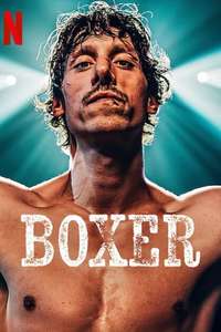 Boxer - Posters