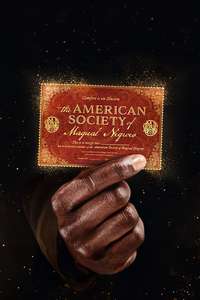 The American Society of Magical Negroes - Posters