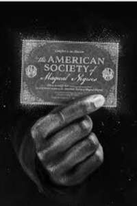 The American Society of Magical Negroes - Posters