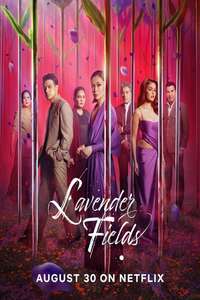 Lavender Fields - Posters
