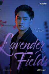 Lavender Fields - Posters