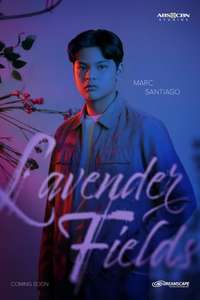 Lavender Fields - Posters